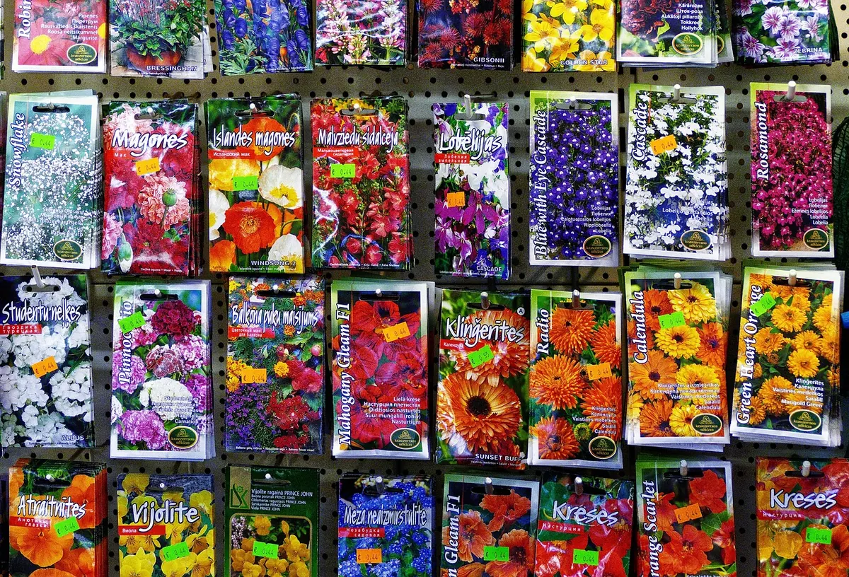 How to Organize a Rural Community Seed Swap
